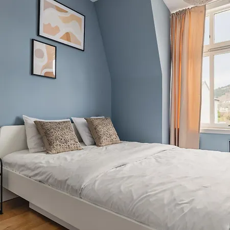 2-story Floor I 3x Work Space I Shared Garden Appartement Bergen